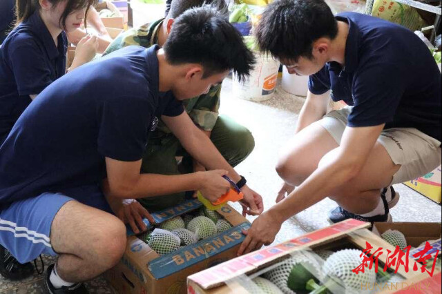 雷速体育“领梦者·弘帆”暑期社会实践团深耕渣坪乡，探寻“三农”解题之道