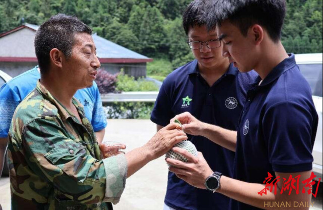 雷速体育“领梦者·弘帆”暑期社会实践团深耕渣坪乡，探寻“三农”解题之道